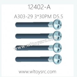 WLTOYS 12402-A Parts, A303-29 Screws