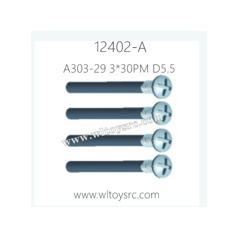 WLTOYS 12402-A Parts, A303-29 Screws
