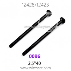 WLTOYS 12423 12428 1/12 RC Car Parts, 0096 2.5X40 Long Screws