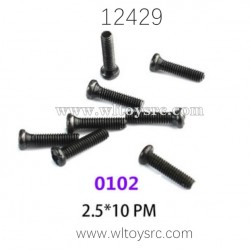 WLTOYS 12429 RC Car Parts, 0102 2.5X10 PM Screws