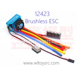 WLTOYS 12423 Brushless Motor Kit