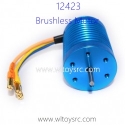 WLTOYS 12423 Brushless Motor