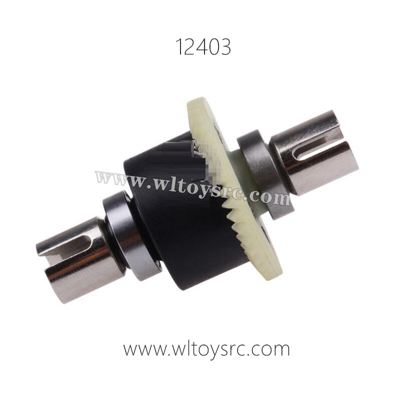 WLTOYS 12403 Parts, Differential Assembly