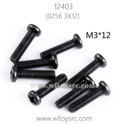 WLTOYS 12403 Parts, Screws 0256